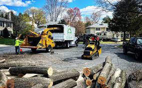 Lawn Pest Prevention in Birmingham, AL