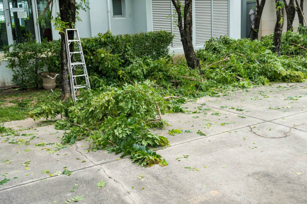 Best Weed Control  in Birmingham, AL